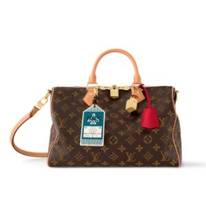 Louis Vuitton Speedy Soft 30 Crafty Brown 30Cm M11945